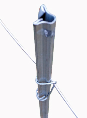 Plant stake