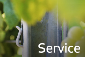 Service