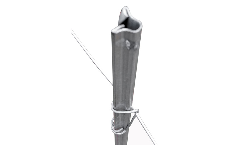 Plant stake